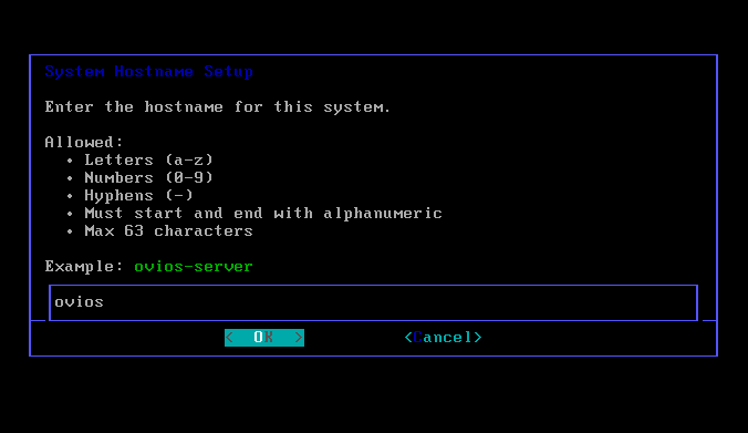 Hostname entry screen during installation